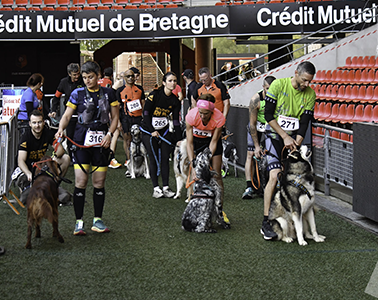 CAPTURÉES PAR BERNARD HÉLAUDAIS