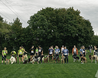 CAPTURÉES PAR Inès Tournot