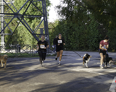 CAPTURÉES PAR Lucie Moreac