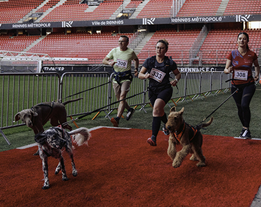 CAPTURÉES PAR Maël Le Bras