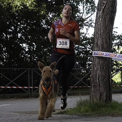 Canicross / 2025 - Fanny Théou