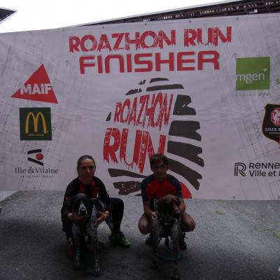 Finisherwall 208