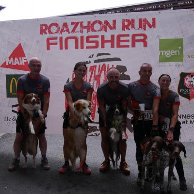 Finisherwall 219
